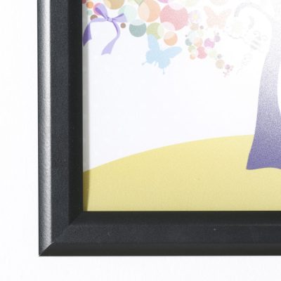 11x17-slide-in-frame-1-inch-black-mitred-profile-double-sided (2)