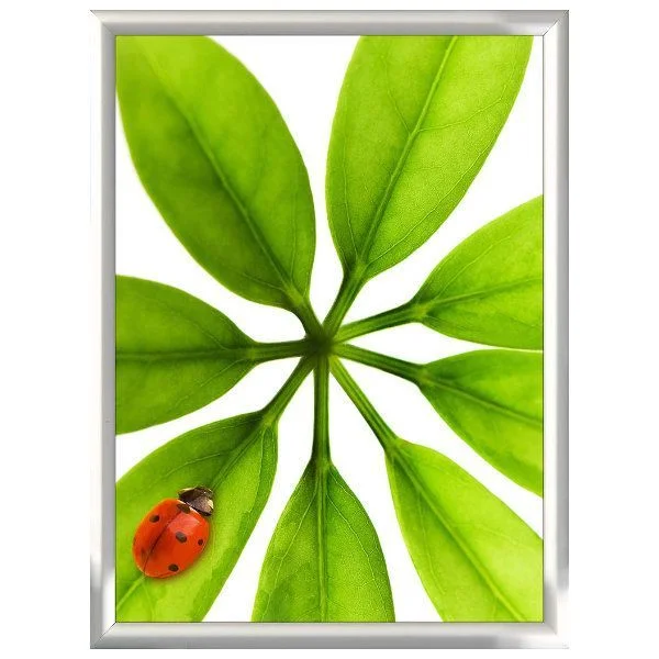 18x24 Snap Poster Frame - 1 inch Silver Mitred Profile 18x24 Snap Poster Frame - 1 inch Silver Mitred Profile