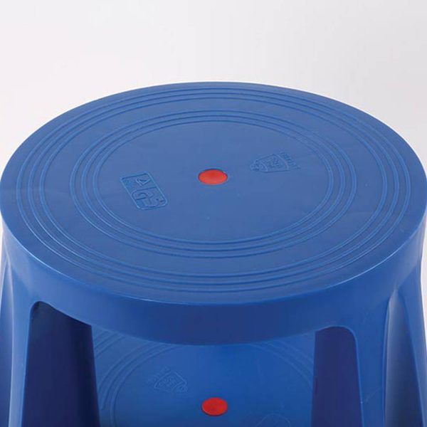 Blue Step Stool with 2 Steps