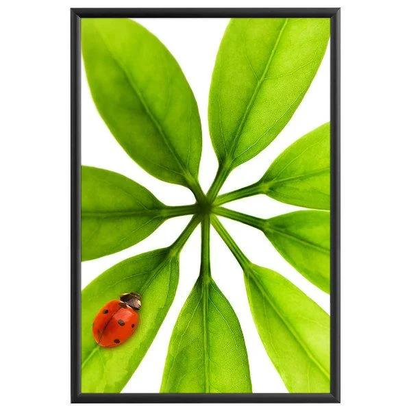24x36 Weatherproof Snap Poster Frame - 1 inch Black Color Profile 24x36 Weatherproof Snap Poster Frame - 1 inch Black Color Profile