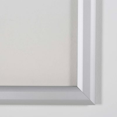 Double Sided Silver Slide in Frame 24
