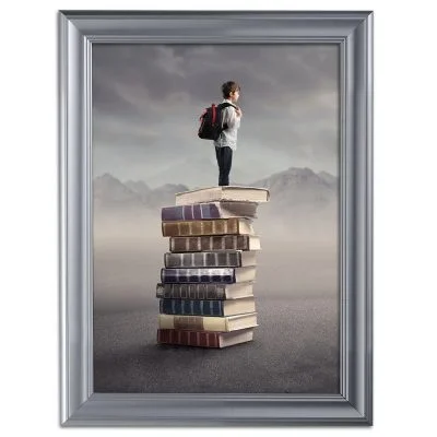 Fancy Frame 18 X 24 Poster Size 1.58 Silver Color Profile, Mitered Corner