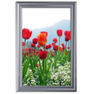 Fancy Frame 20 X 30 Poster Size 1.58 Silver Color Profile, Mitered Corner