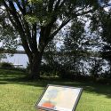 An outdoor snap poster frame with information about the landscape in front of a body of water with trees in the horizon